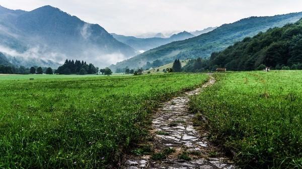 Fin de la thérapie ou de la psychanalyse : comment savoir quand le travail est terminé ?